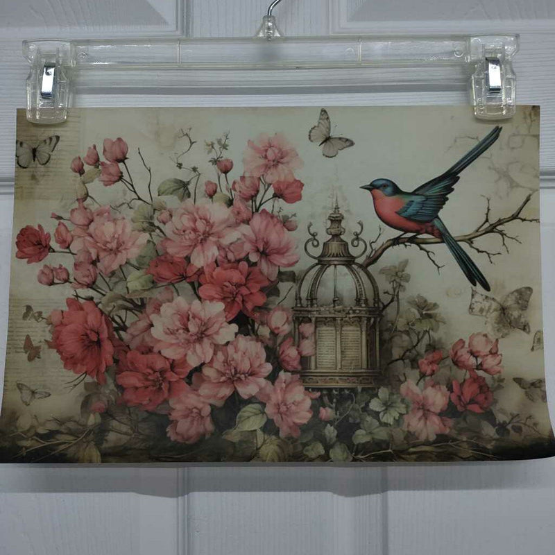 Vintage Bird & Butterflies with Cage